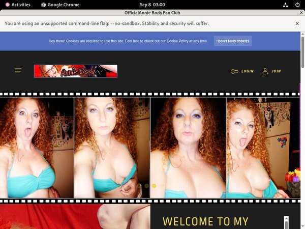 AnnieBody Paypal Access