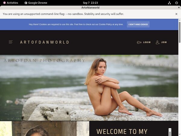 Artofdanworld Paypal Option
