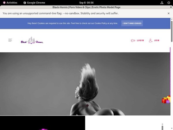 B L A C K - H O R N I S Full Website