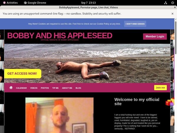 BobbyAppleseed Recent
