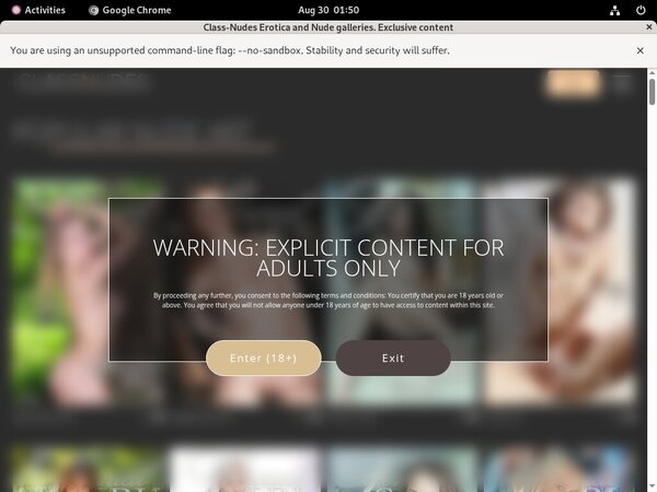 Class Nudes Full Movie