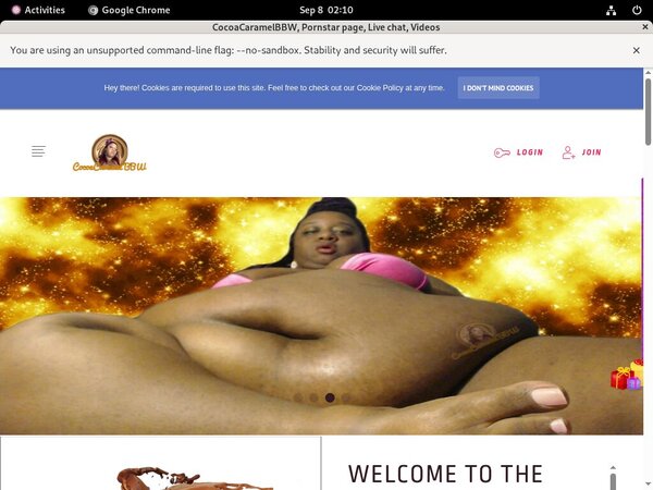 CocoaCaramelBBW With Paypal Acc