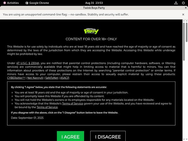 Download Twinkboysparty.com