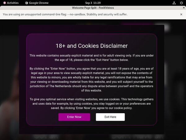 Feelxvideos Premium Logins