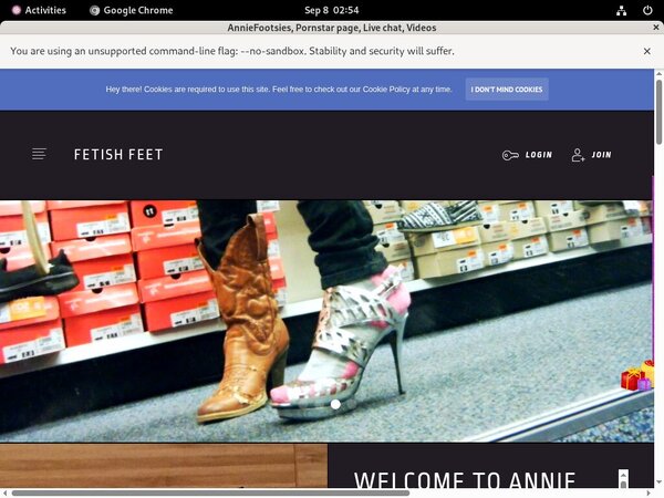Free Anniefooties.modelcentro.com Accounts Premium
