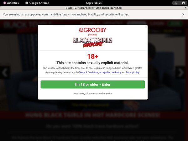 Free Blacktgirlshardcore Account Password Free Blacktgirlshardcore Account Password