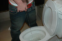 Free Boys Pissing Trial Access s2 Free Boys Pissing Trial Access s2