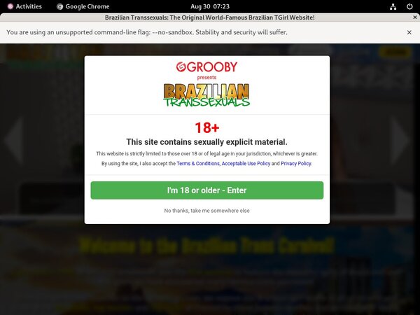 Free New Brazilian Transsexuals