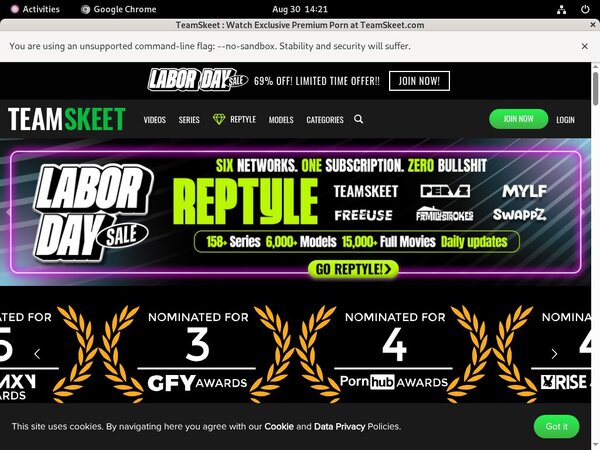 Free Teamskeet.com Premium Passwords