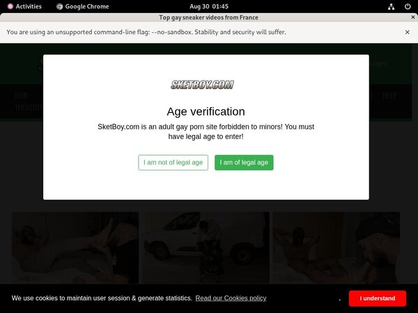 Free Working Sketboy.com Logins