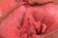 Gapemypussy Desktop s5