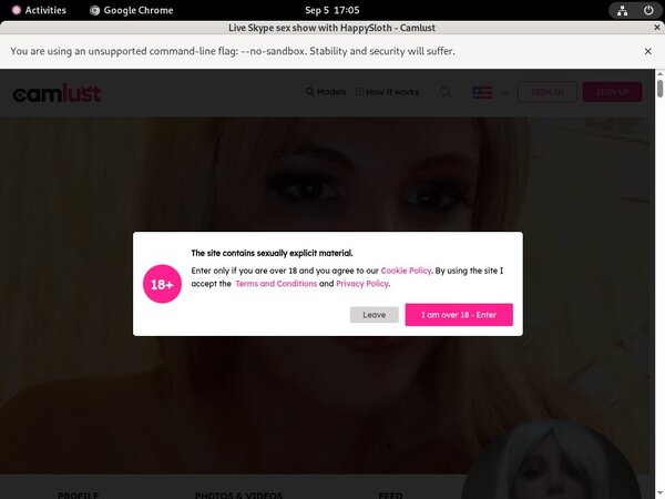 Happysloth Payment Page