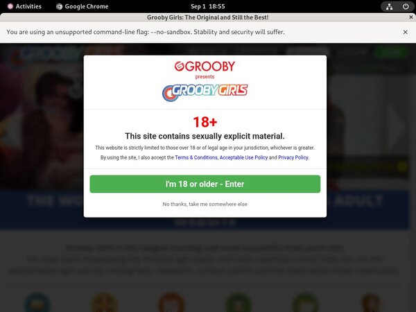 How To Access Groobygirls.com