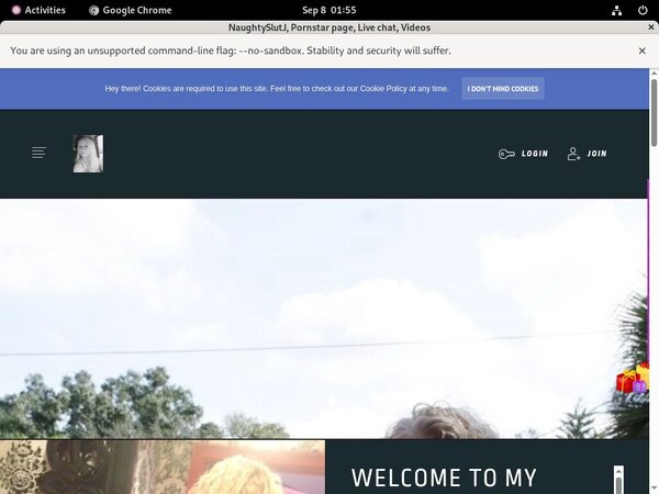 Is Naughtyjeanette.com Real