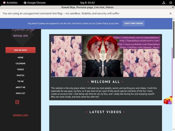 KawaiiSkye Review Site