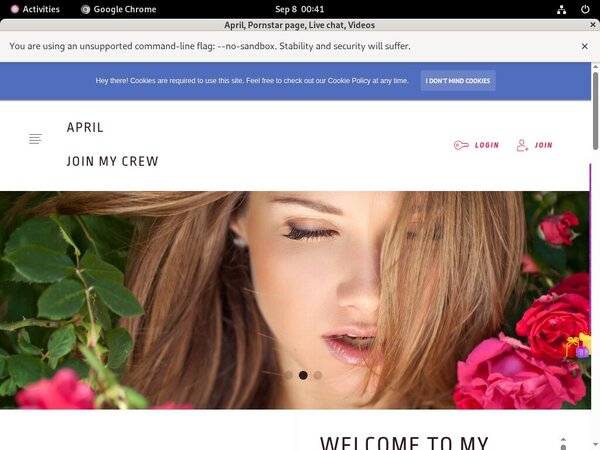 Ladyapril.modelcentro.com Accs