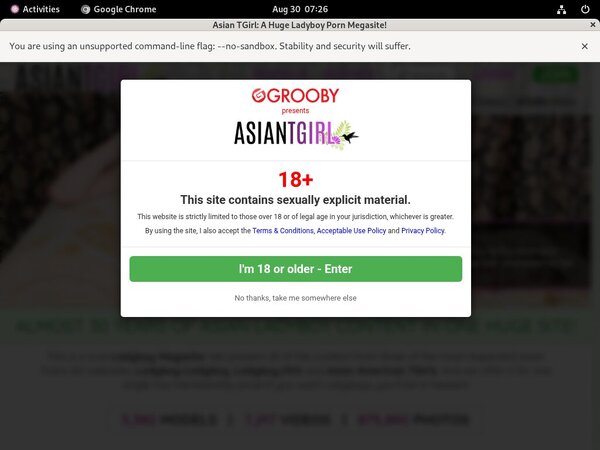 Ladyboy-ladyboy.com Web