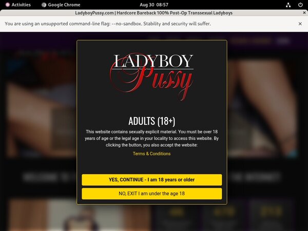 Ladyboypussy Member Review