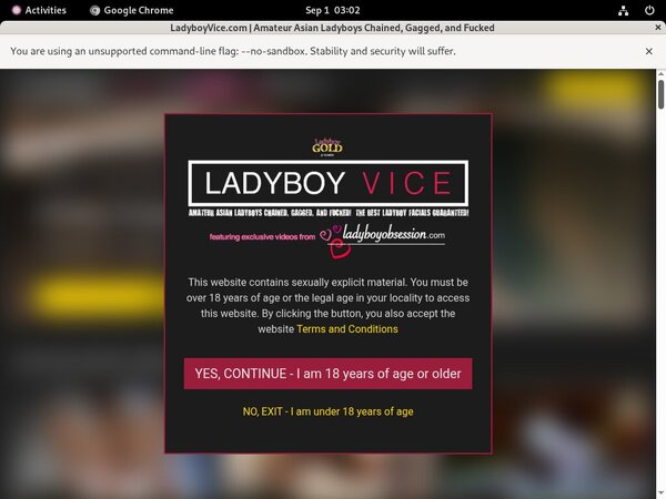 Ladyboyvice.com Porn Movies