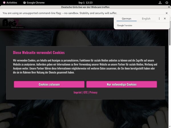 Lana Giselle Accounts Passwords