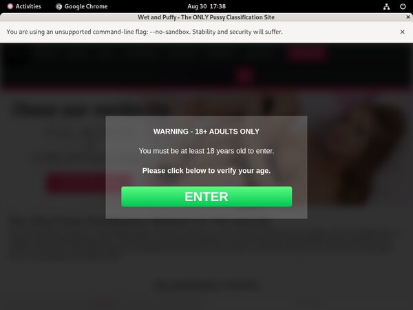 Login For Wetandpuffy