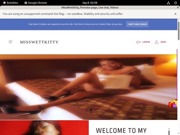 MissWettKitty Discount Logins