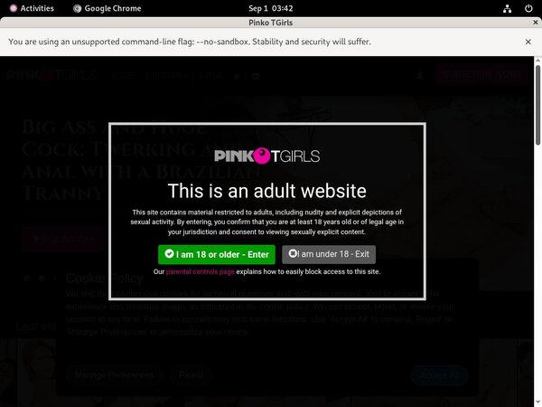 PinkO TGirls Hd Porn Videos
