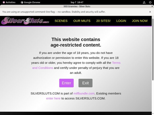 Silversluts Daily Accounts Silversluts Daily Accounts