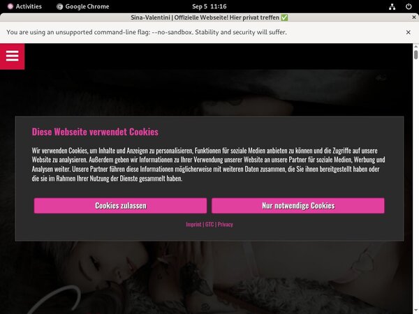 Sina Valentini Promo Code