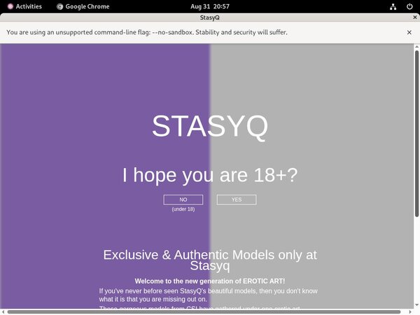 Stasyq.com Mit ELV