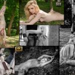 Subspace Land Premium Free Account