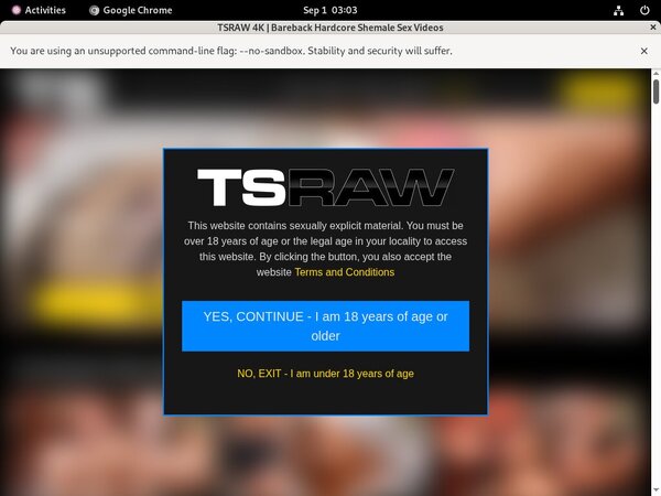 TS Raw Account Premium Free