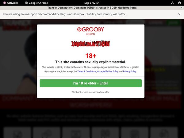 Transexdomination Pregnant