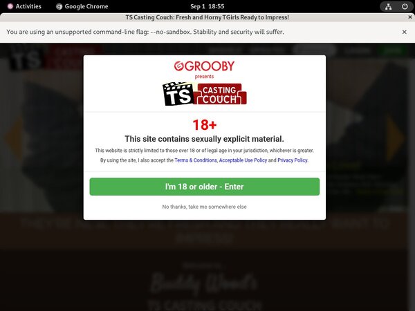 Ts-castingcouch.com Free Account Passwords
