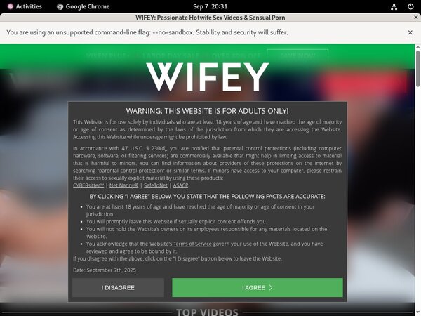 Wifey All Videos
