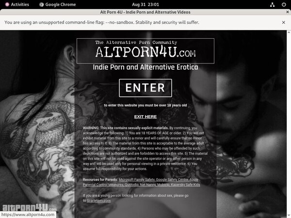 Access Alt Porn 4 U Free Access Alt Porn 4 U Free