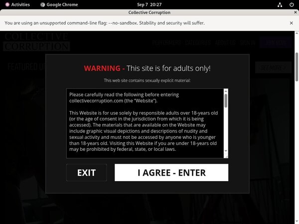 Collectivecorruption.com Gay