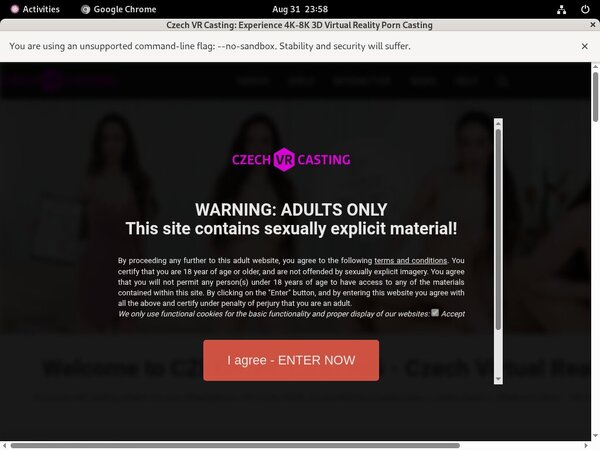 Czechvrcasting Free Pw