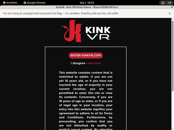 Kinkvr With Pay Safe Card