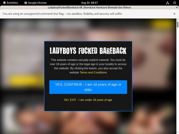 Ladyboys Fucked Bareback Password And Account
