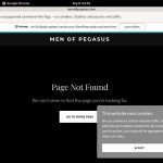 Pegasus_Studios Mit IBAN / SEPA