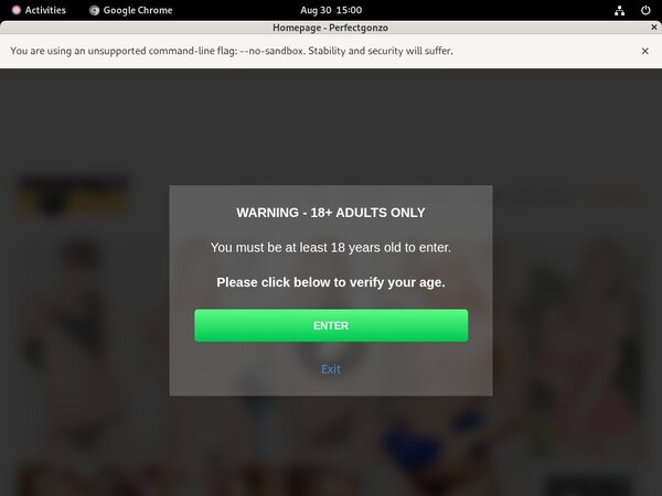 Perfectgonzo Free Passwords