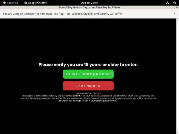 Schoolboyvideos Sex Movies