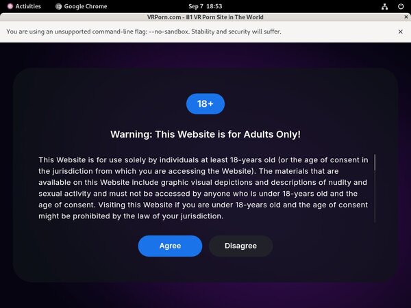 VR Porn Login Information